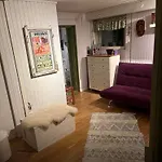 Omakotitalo Harjun Vieressae Aivan Keskustassa アパート Jyväskylä