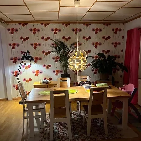 Omakotitalo Harjun Vieressae Aivan Keskustassa Lejlighed Jyväskylä