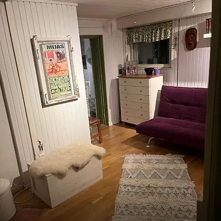 Omakotitalo Harjun Vieressae Aivan Keskustassa Lejlighed Jyväskylä