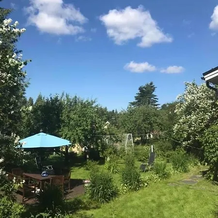 Lejlighed Omakotitalo Harjun Vieressae Aivan Keskustassa Jyväskylä