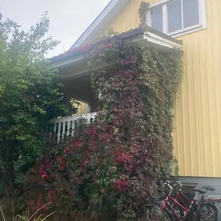 Omakotitalo Harjun Vieressae Aivan Keskustassa Lejlighed